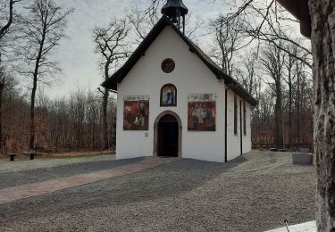 Randonnée Marche Guewenheim - guewenheim notre Dame des Bouleaux  - Photo