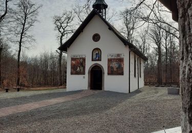 Tocht Stappen Guewenheim - guewenheim notre Dame des Bouleaux  - Photo