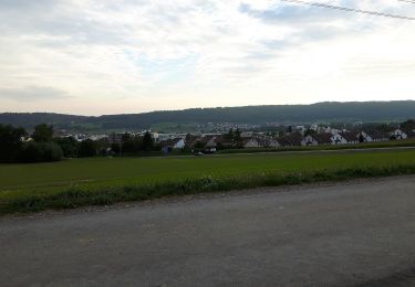 Trail On foot Regensdorf - Bösbuck - Oberhasli - Photo