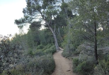 Tour Wandern Aix-en-Provence - Randonnée des barrages Zola et Bimont - Photo