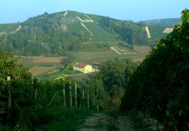 Randonnée A pied Montà - Sentiero Religioso - Photo