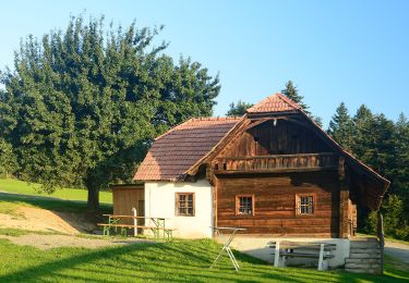 Excursión A pie Grafendorf bei Hartberg - Stambach Weg 4 - Photo