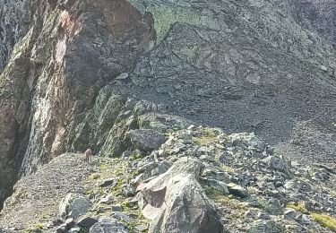 Percorso Marcia Sainte-Agnès - lac blanc rocher de l'homme  - Photo