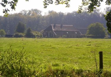 Trail On foot Bronckhorst - Ockhorstroute - Photo