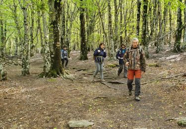 Percorso Marcia Rosis - douch - saint gervais - Photo