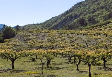 Tour Wandern Buis-les-Baronnies - 26 Buis Le Saint-Julien - Photo