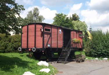 Tocht Te voet Waidhaus - RW: Waidhaus – Ulrichsberg – Waidhaus - Photo