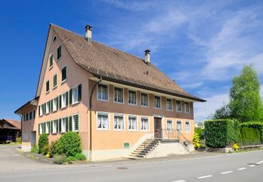 Excursión A pie Grüningen - Grüningen Haufland - Mönchaltorf - Photo
