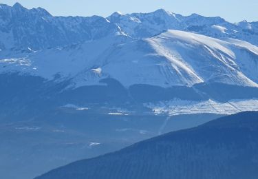 Excursión Raquetas de nieve Lans-en-Vercors - RECO VERTIGE DES CIMES - Photo