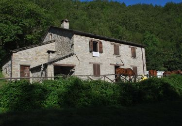 Percorso A piedi Bagno di Romagna - IT-211 - Photo