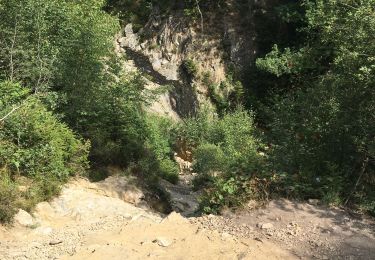 Trail Walking Waimes - Peak Beer Brune  - Photo