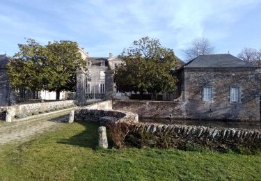 Tocht Stappen Le Loroux-Bottereau - rando du vignoble avec liaison - Photo