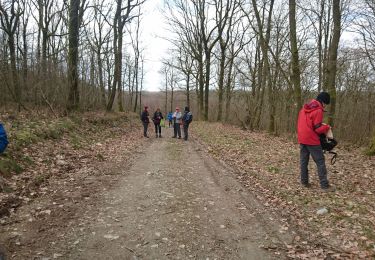 Tour Wandern Renwez - Renwez journée 2019-3-26 - Photo