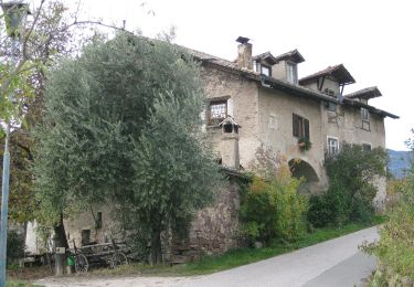 Tocht Te voet Eppan an der Weinstraße - Appiano sulla Strada del Vino - IT-3 - Photo