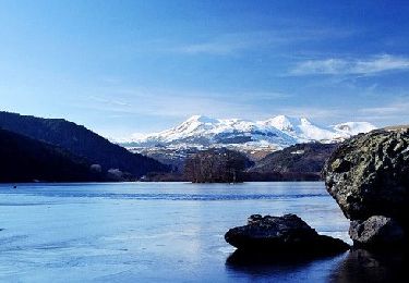 Randonnée Marche Murol - Chambon_Lac_Courbanges - Photo