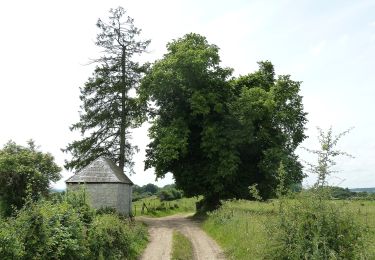 Tour Zu Fuß Ferrières - 15. Promenade 