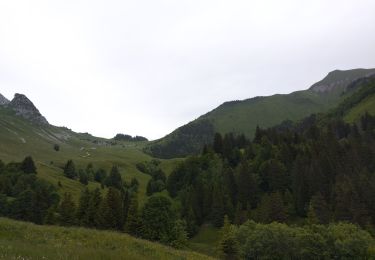 Tour Wandern Plancherine - chalet de Drison à nant fourchu  - Photo