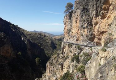 Trail Walking Canillas de Aceituno - Canillas de Aceituno - Photo