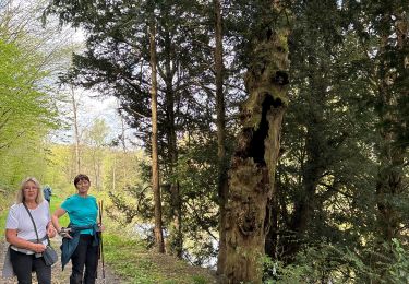 Tour Wandern Houyet - Houyet - Photo