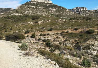 Tocht Stappen Cheval-Blanc - Gorges du régalons - retour Mayorques - Photo