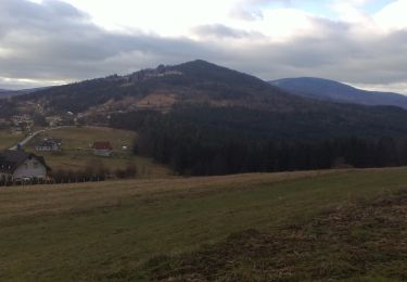 Tour Zu Fuß Targoszów - Szlak kapliczek - Photo