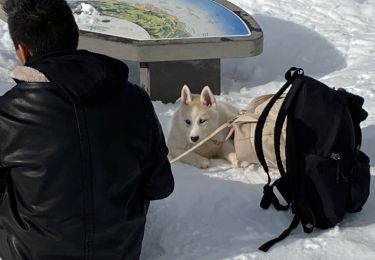 Tocht Sneeuwschoenen La Clusaz - 13 - tête du Danay - Photo