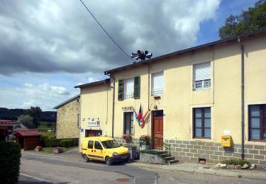 Randonnée A pied Vittel - Les Crêtes du Montfort - Photo