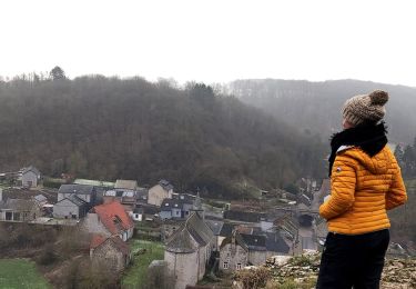 Trail Walking Anhée - La promenade des pelouses calcaires  - Photo