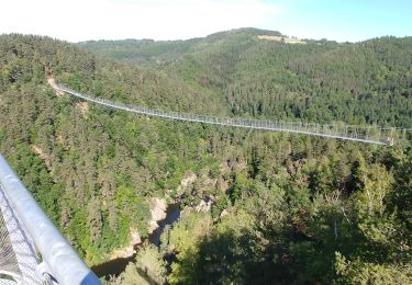 Tocht Mountainbike Saint-Victor-Malescours - nouvelle passerelle de Grazac - Photo