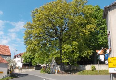 Trail On foot Wermsdorf - Kleine Collm Rundwanderung - Photo