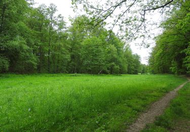 Tocht Te voet Wilkau-Haßlau - WW Wilkau-Haßlau - Quarksteine - Niedercrinitz - Filzteich - Photo