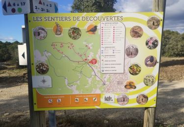 Trail Walking Milhaud - 2023-11-21 - Photo
