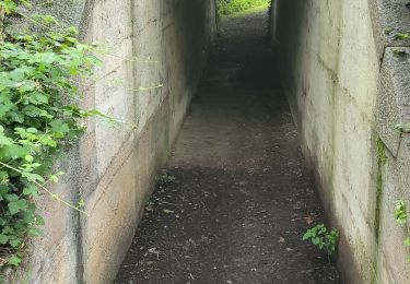 Tour Quad Cognat-Lyonne - VIADUC ROUZAT - Photo