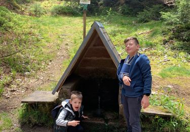 Trail Walking Orbey - Col du wettstein glasborn linge - Photo