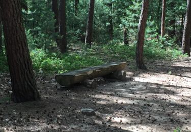 Trail Walking Maaseik - Bispadwandeling via De Zavel en Vossenstraat - Photo