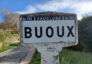 Trail Walking Buoux - APT,  Buous , circuit d Aigue Brun o l  - Photo