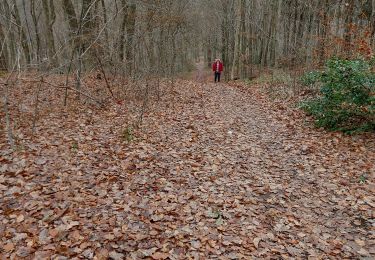 Percorso Marcia Namur - FLAWINNE _ Marche Fédérale _ NA _ 28/12/2022 - Photo