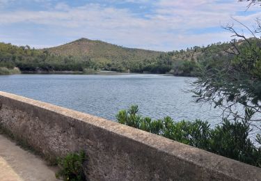 Randonnée Marche Bormes-les-Mimosas -  Trapant Estagnol - Photo