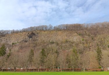 Tocht Stappen Aywaille - autour de Dieupart et Sougné sur les deux versants - Photo