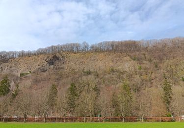 Tour Wandern Aywaille - autour de Dieupart et Sougné sur les deux versants  - Photo