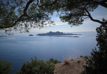 Tour Wandern Cassis - traversée des calanques - Photo