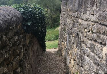 Percorso Marcia Saint-Laurent-des-Combes - Saint Laurent des combes - Photo