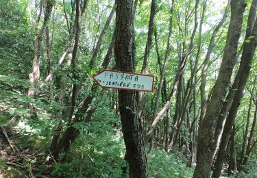 Percorso A piedi Rota d'Imagna - Sentiero 586: Rota d'Imagna - La Passata - Photo