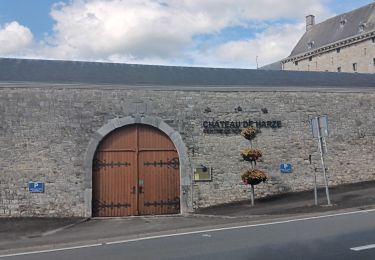 Tour Wandern Aywaille - harze . chapelle ste Anne. rouge minière . St roch . harze  - Photo