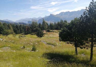 Excursión Senderismo Le Dévoluy - Le col charrier  - Photo