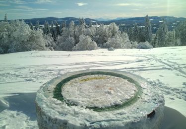 Percorso Racchette da neve Pontarlier - Pontarlier Gounfay Grand Taureau 2021-01-19 CAF - Photo