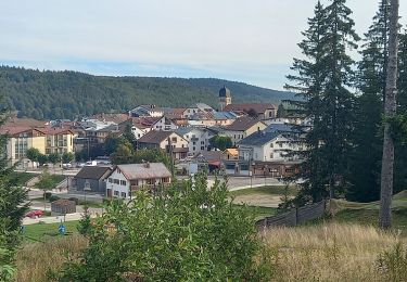 Randonnée Marche Les Rousses - GTJ 7 Les Rousses/Lajoux Le Manon - Photo