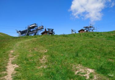 Tocht Noords wandelen Saint-Sorlin-d'Arves - Mont Corbier  - Photo