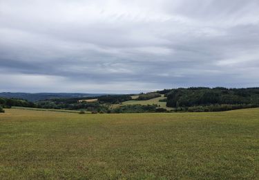 Tocht Stappen Wellin - rando daverdisse 25/08/2020 - Photo