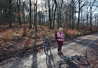 Randonnée A pied Roetgen - Petergensfeld (Grünes Rechteck) - Photo